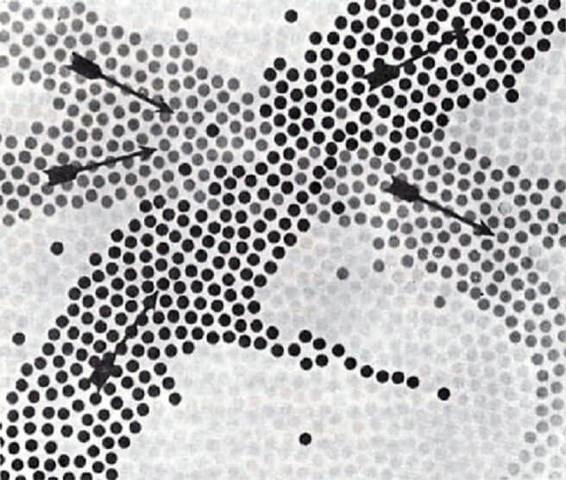 图68．互相交叉的神经通道