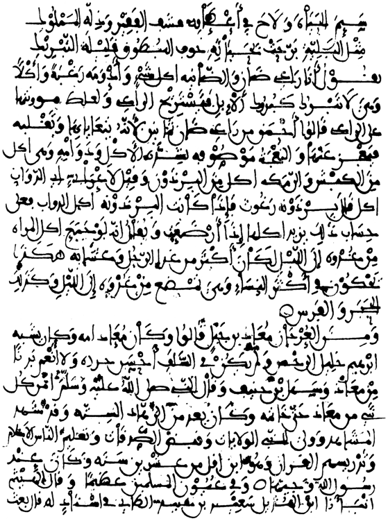 图116．一个用阿拉伯语写成的有意义的故事